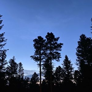 Meet your Posher, Claire